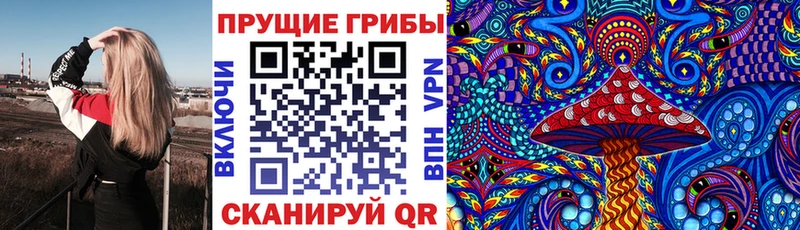 hydra зеркало  Назрань  Псилоцибиновые грибы MAGIC MUSHROOMS  где купить наркоту 