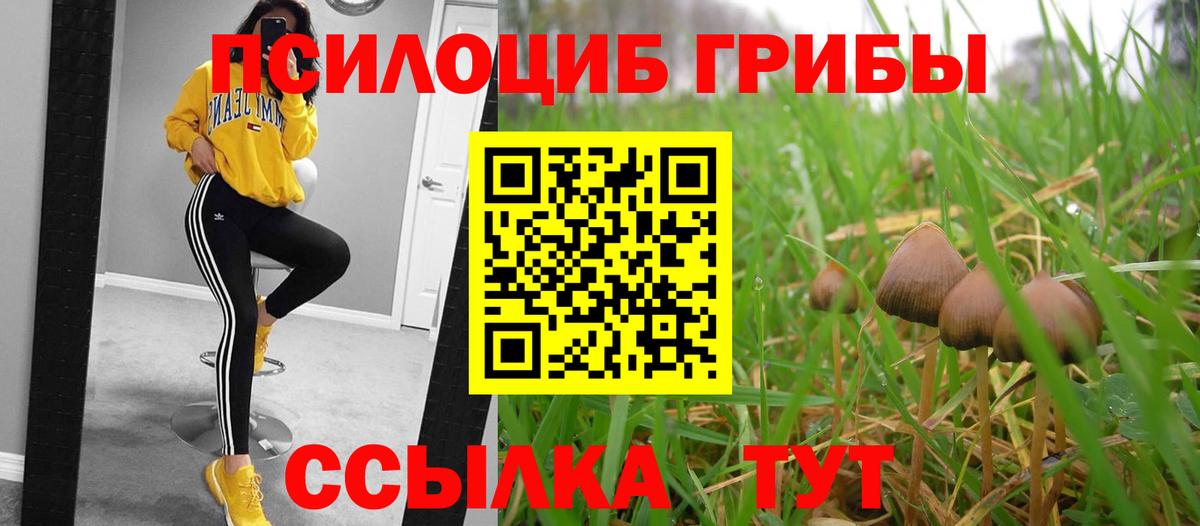 Псилоцибиновые грибы ЛСД Назрань