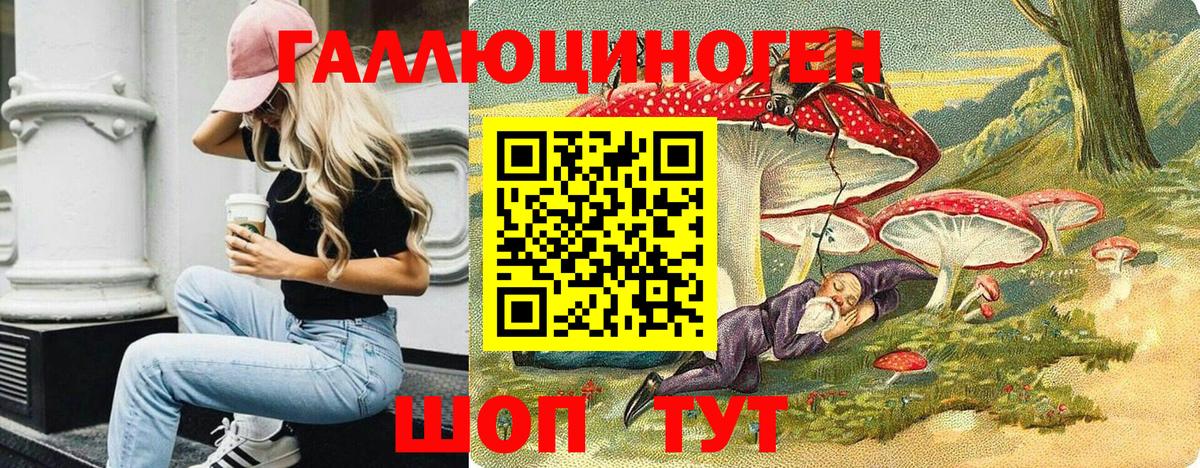 Назрань  Псилоцибиновые грибы GOLDEN TEACHER  Вход с VPN  Псилоцибиновые грибы мухоморы 